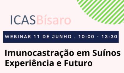 ICAS bisaro webinar