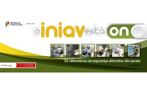 INIAV newsletter semanal