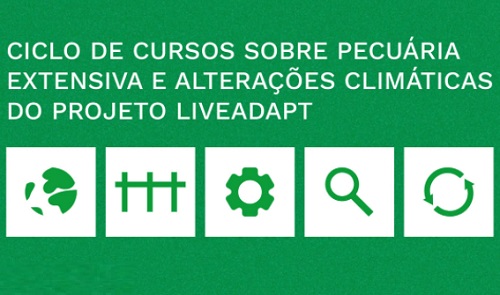 Live Adapt mertola cursos