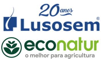 Lusosemeconatur