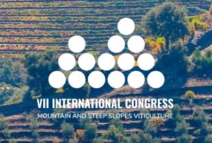 VII international congress viticulture