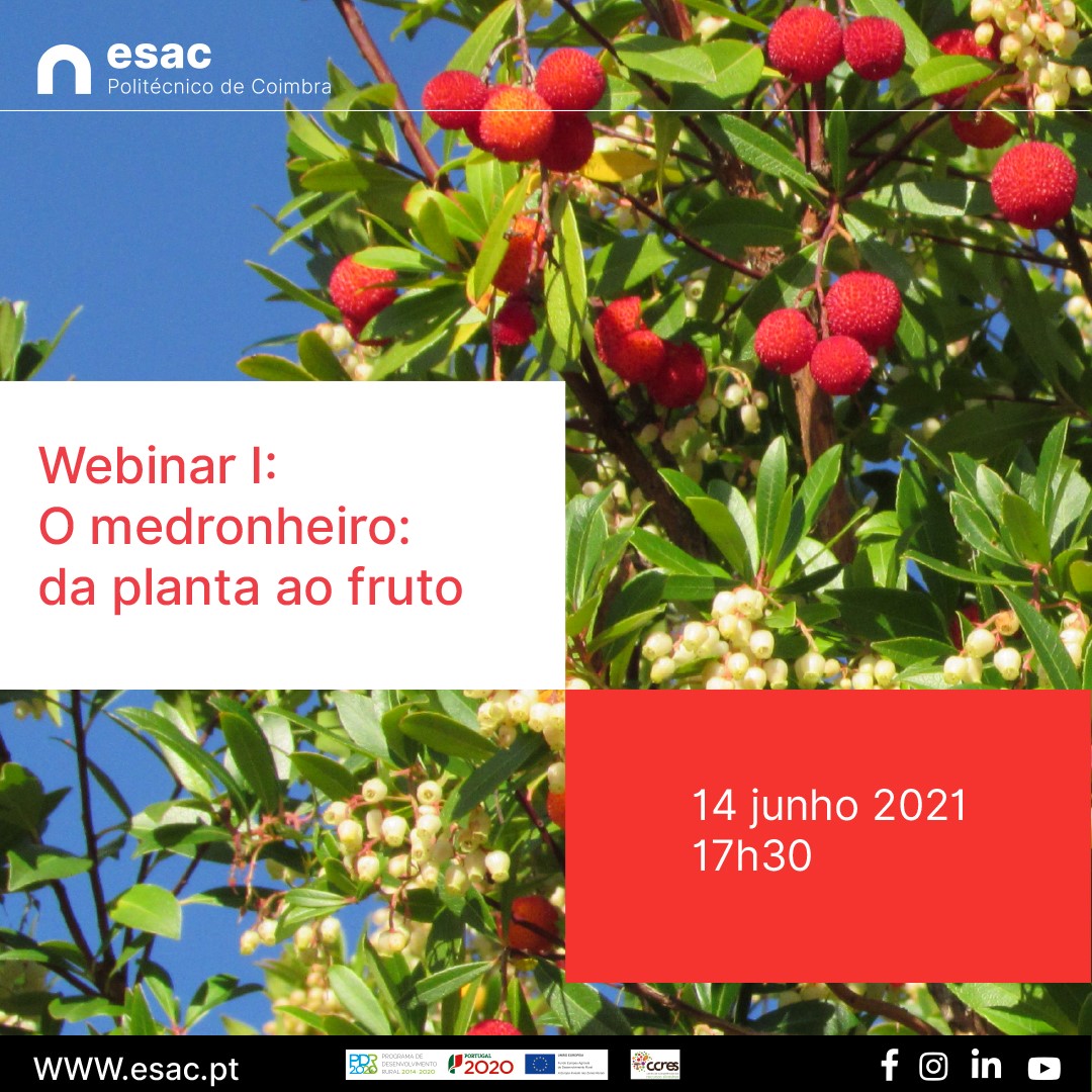 Webinar 1 Medronheiro