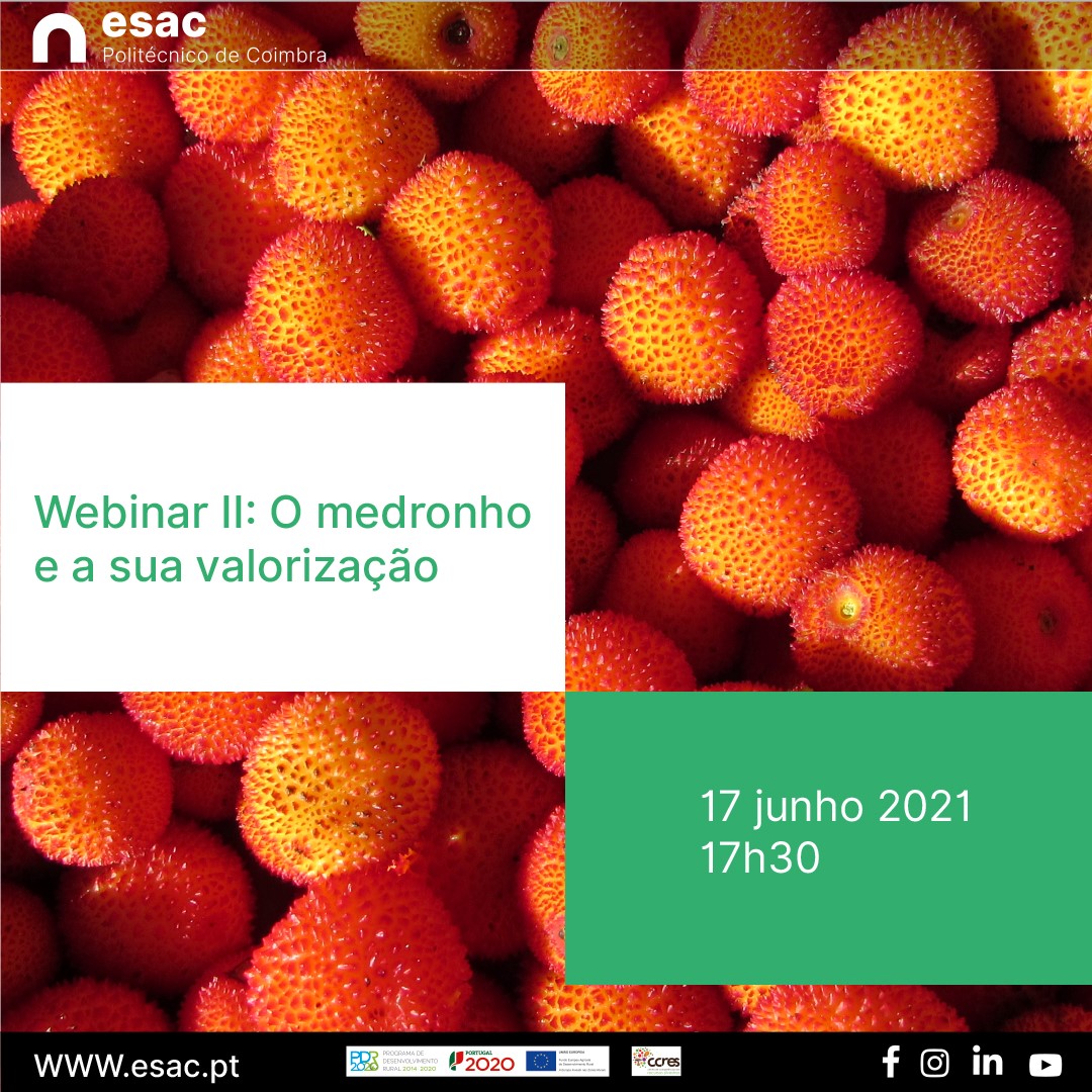 Webinar 2 Medronheiro