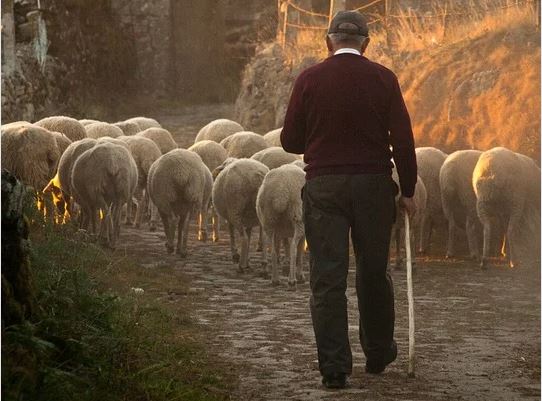 agricultor img