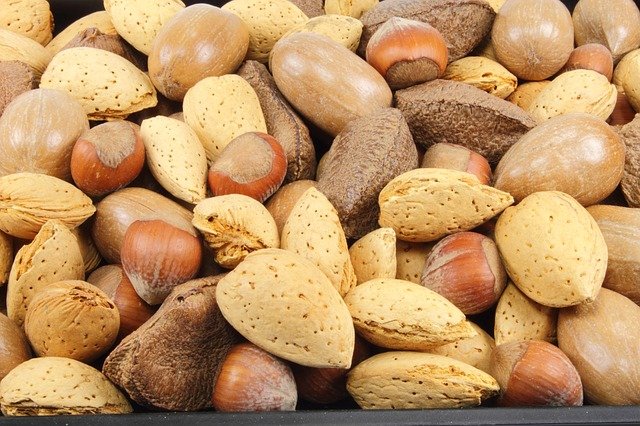 almonds 484268 640