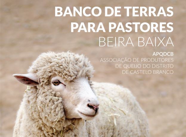 banco Terras pastores