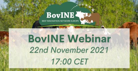 bovine webinar 22nov