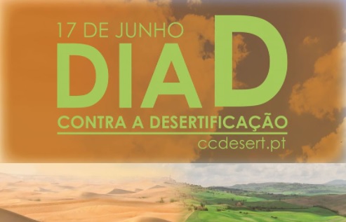 ccdesert diaD