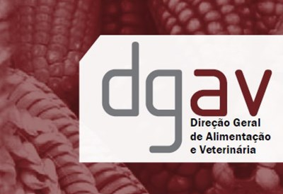 dgav logo