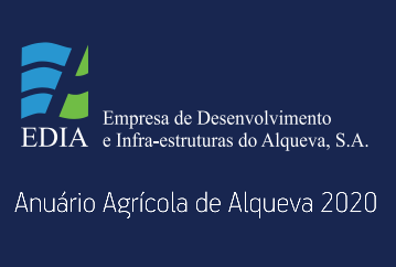 edia anuario alqueva 2020