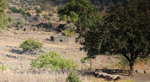 land abandonment site