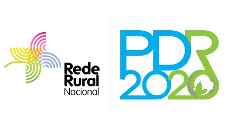 rrn pdr2020