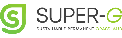 super-g-logo