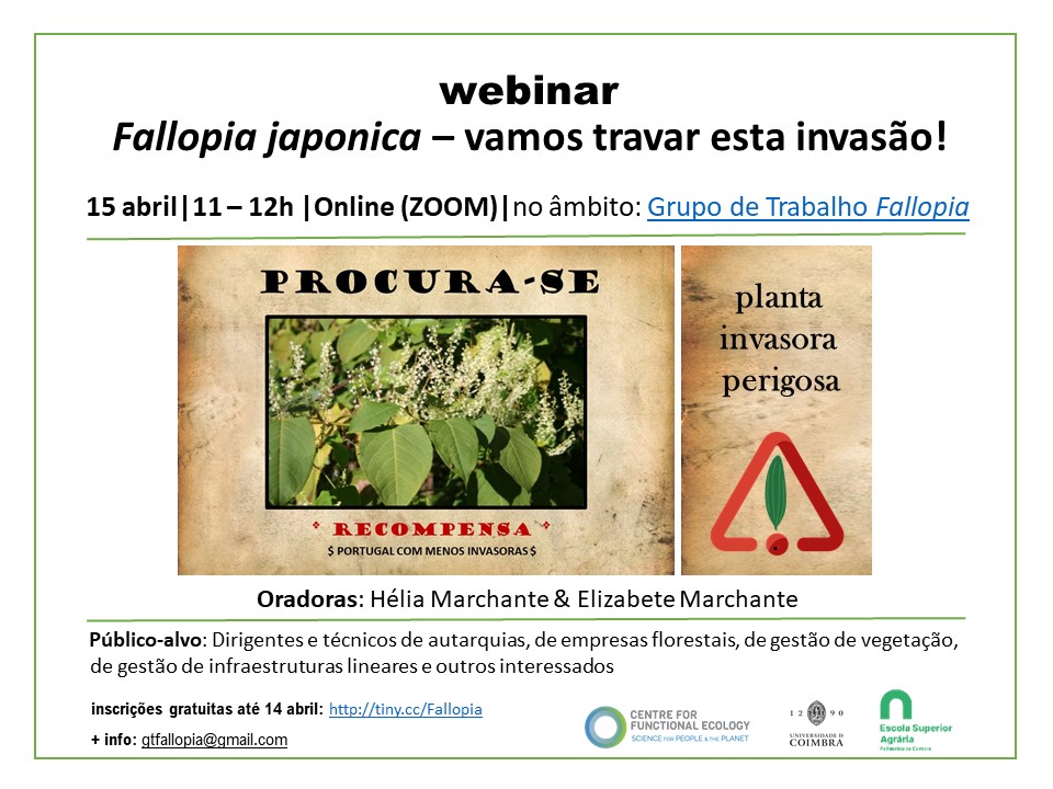 webinar15abril Fallopia