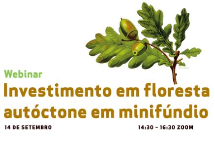 webinar invest floresta