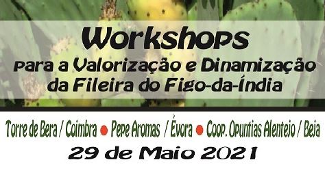 workshop figo da índia 29 Maio sm