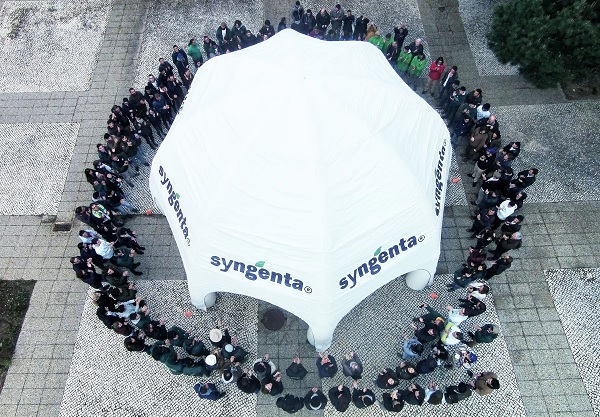 24h syngenta