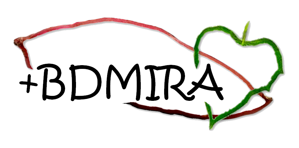 BDMIRA_logo_1
