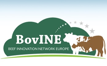 Bovine_projeto