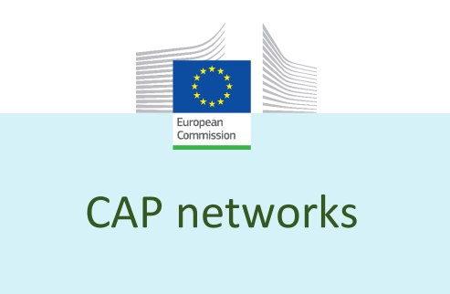 CAP networks