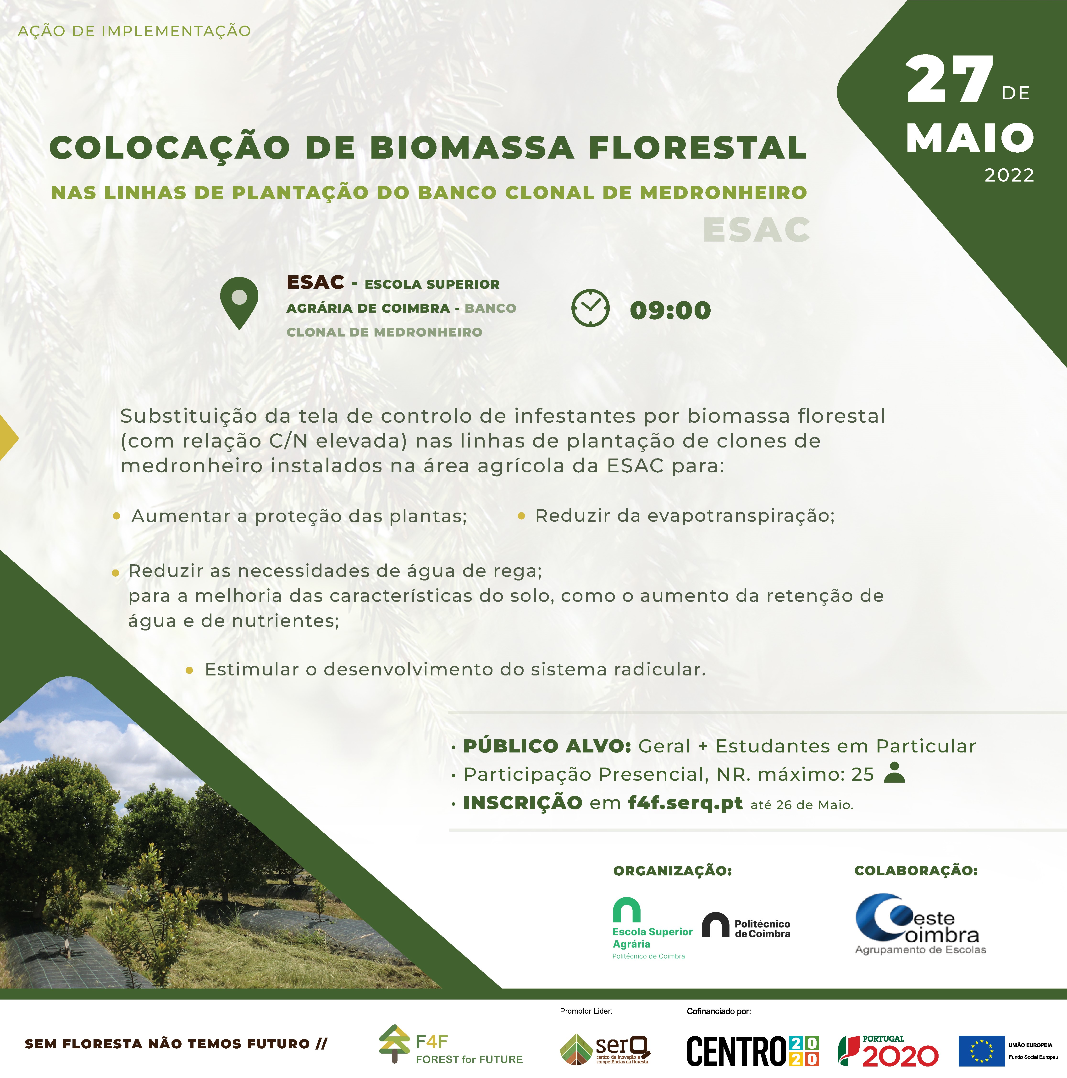 F4F ColocacaoBiomassaFlorestal BancoClonalMedronheiroESAC 27mai2022