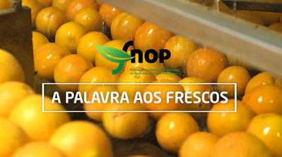 FNOP plavras aos frescos