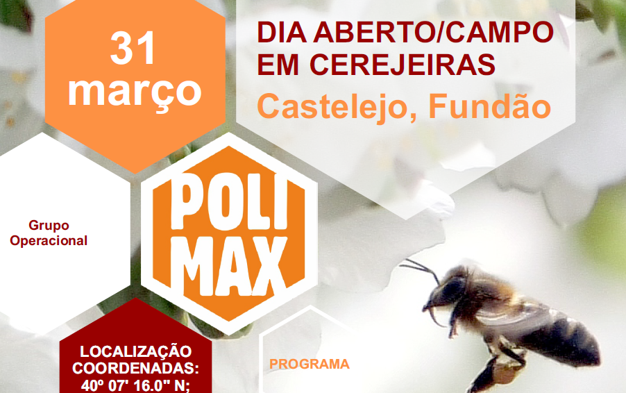 Polimax