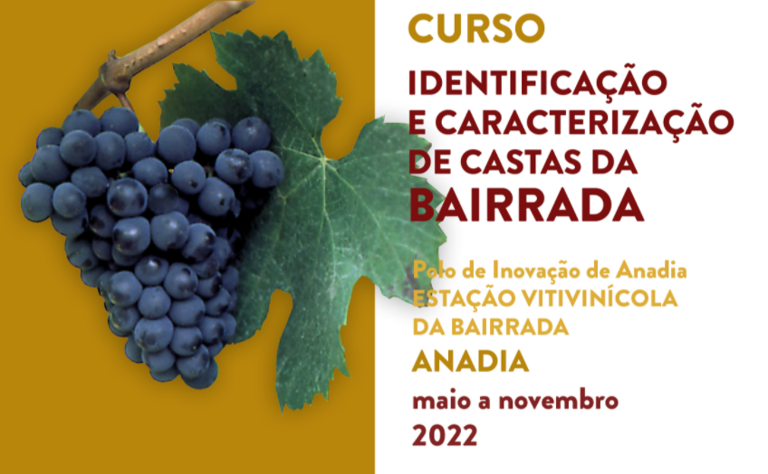 drapc curso bairrada