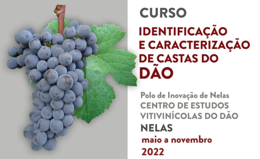 drapc curso dao