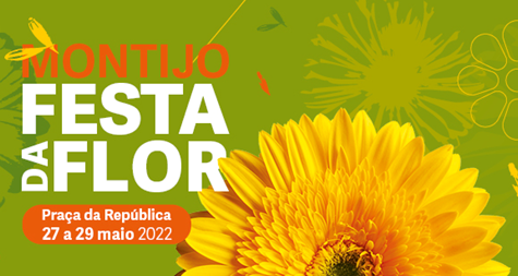 festa flor montijo