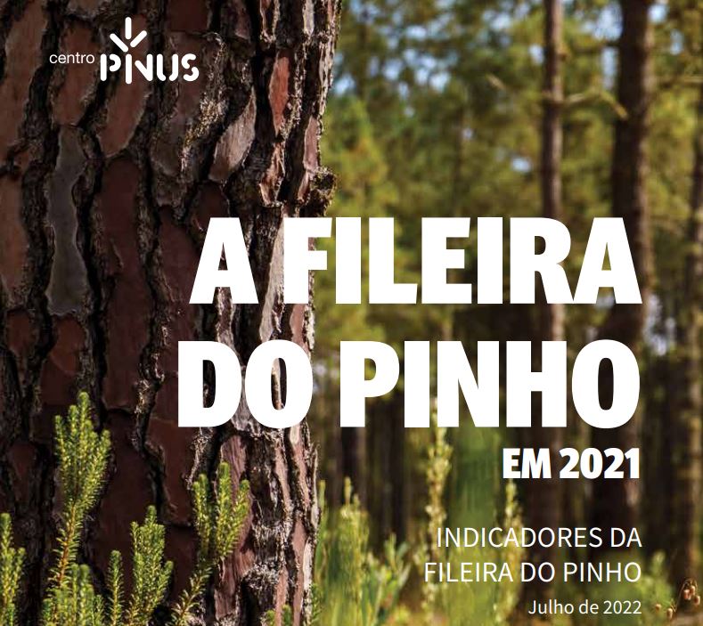 fileira pinho indicadores 21