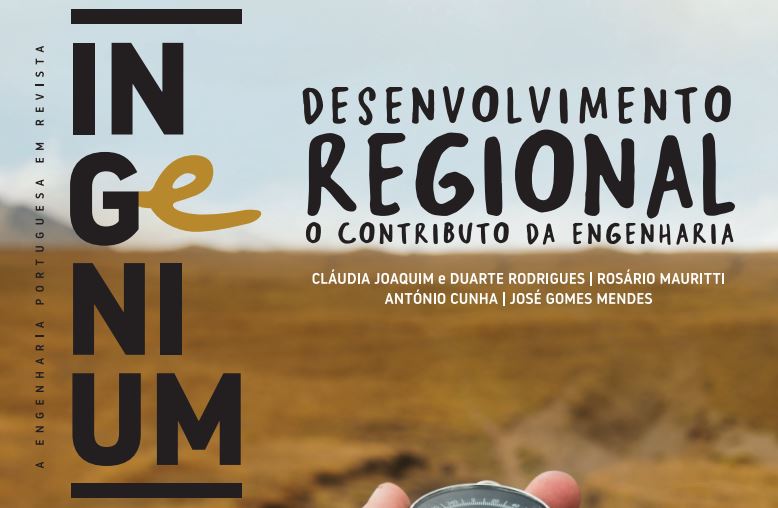ingenium desenv regional