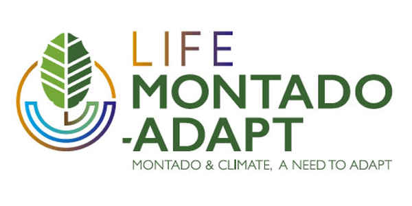 life montado adapt