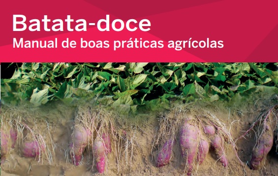 manual batata doce