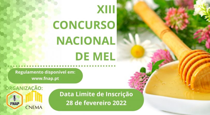 mel concurso 810x447