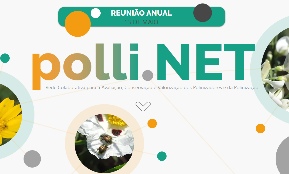 pollinet reuniao anual