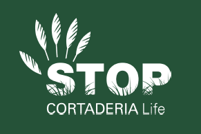 stop cortaderia life