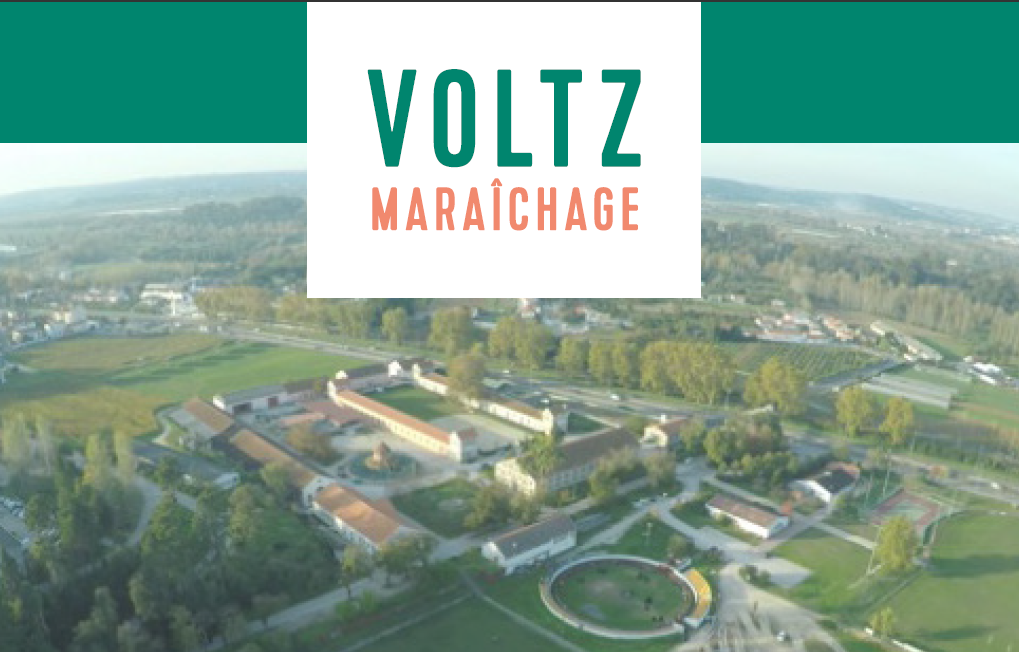 voltz maraichage