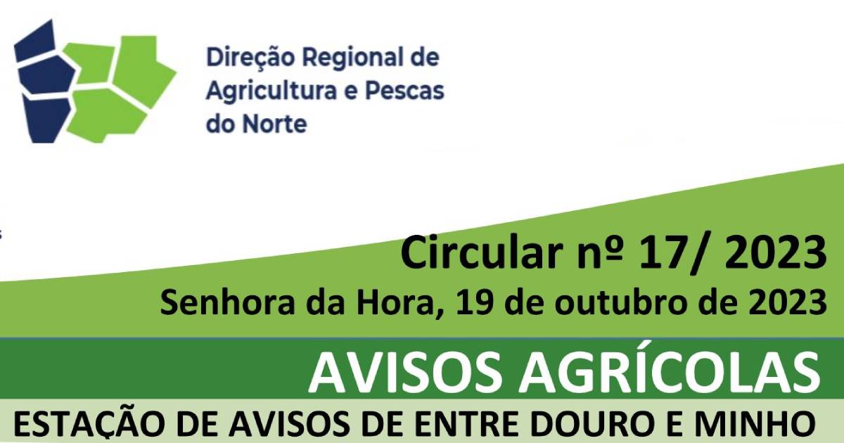 Cartaz circular Avisos Entre Douro e Minho