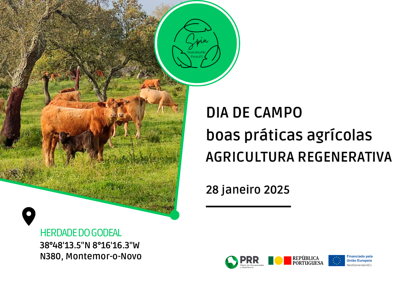 20250128 DIA CAMPO SPIN2