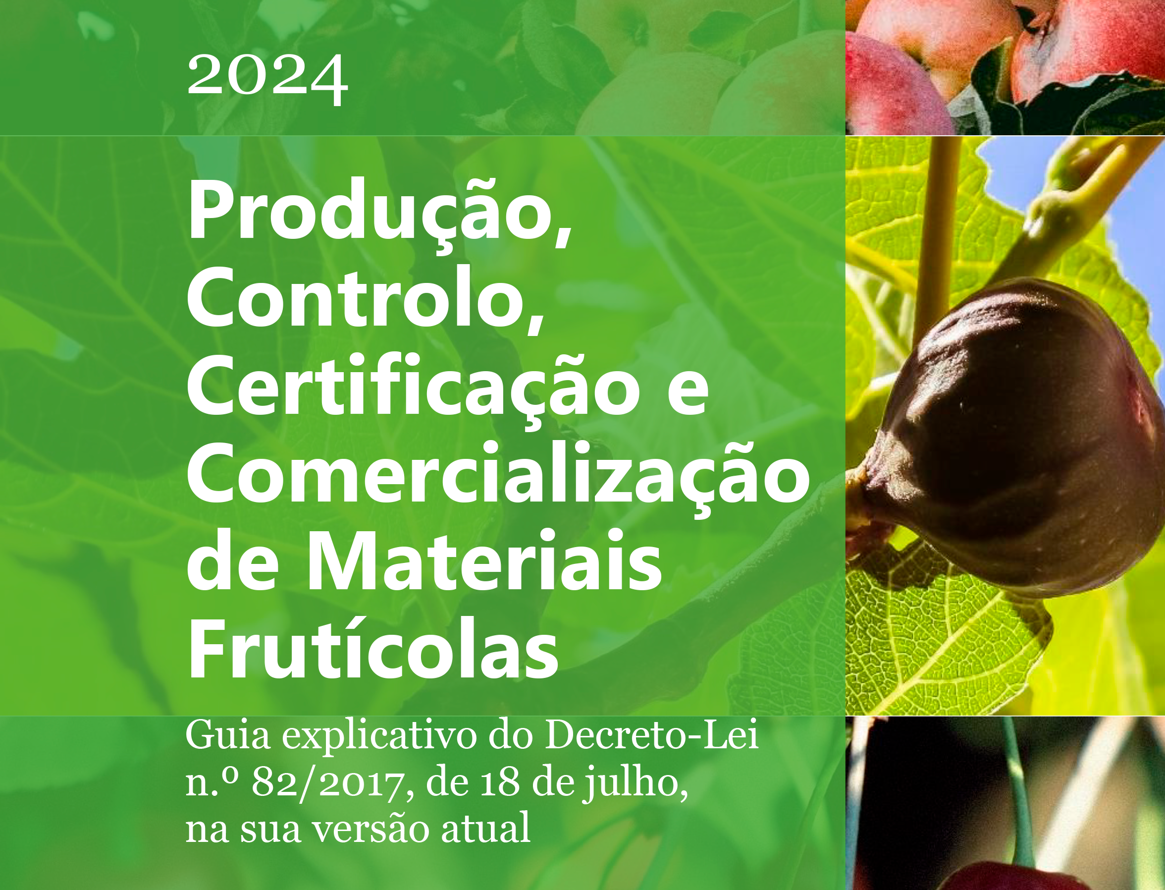 Guia das Fruteiras 2024 1