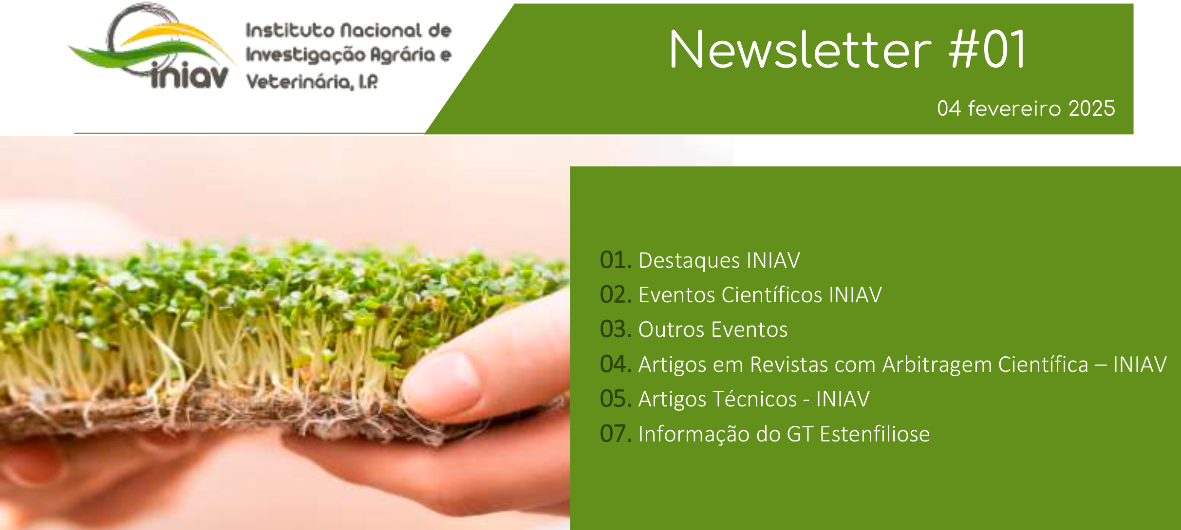 Newsletter Externa 01 2025 1