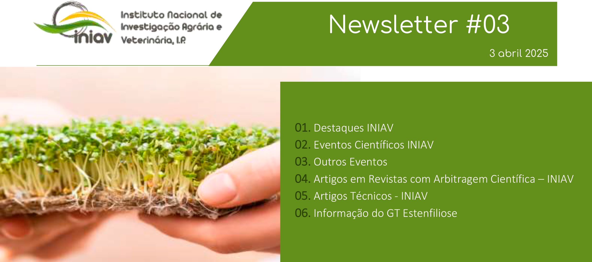Newsletter Externa 03 2025 1