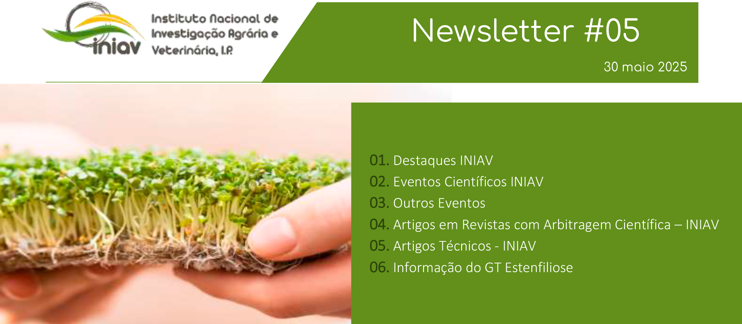Newsletter Externa 05 2025 1