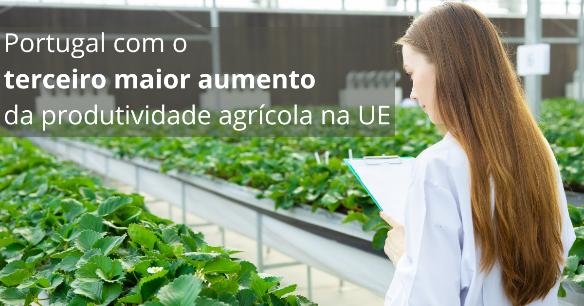 Portugal produtividade agricola site