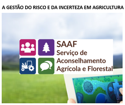 SAAF gestao risco agricultura