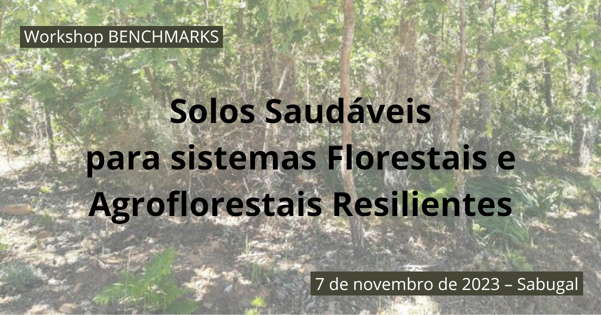 Workshop BENCHMARKS Solos Saudáveis para sistemas Florestais e Agroflorestais Resilientes
