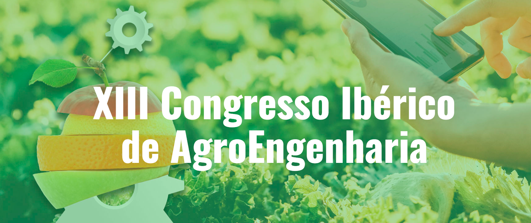 agroengenharia