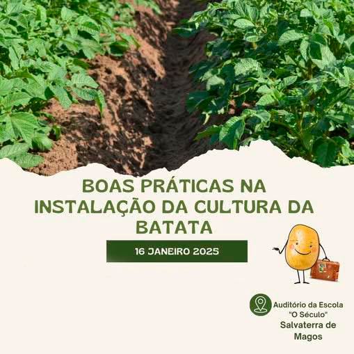 batata