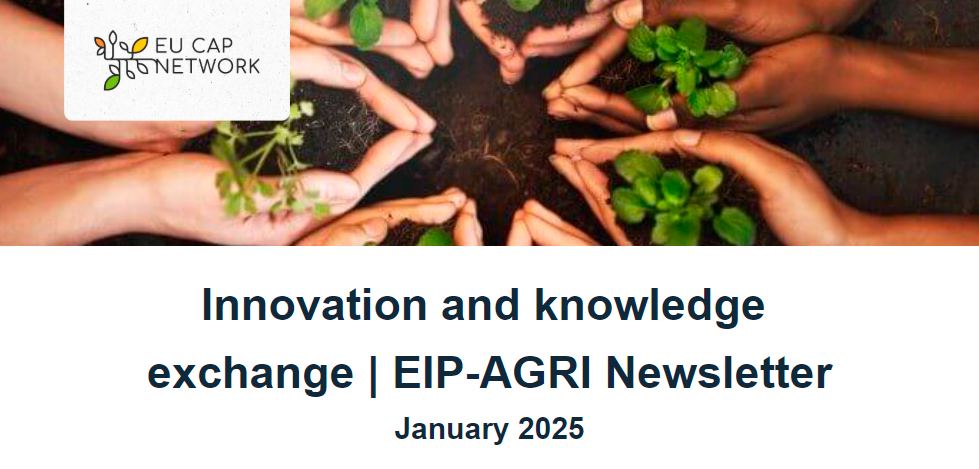 eip january2025